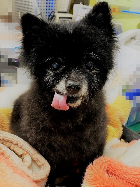 ある再会_d0360206_23120070.jpg