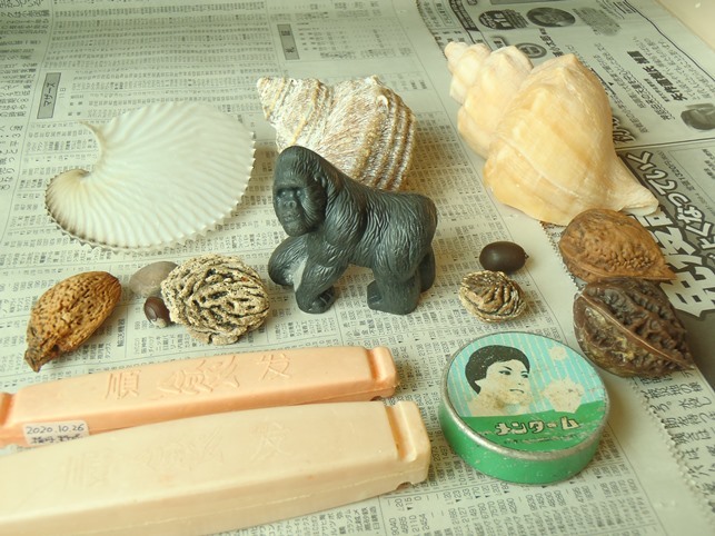 2020年の標本箱 : sea amberを探して
