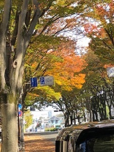 「近隣でも紅葉シーズンがやってきました」_d0178136_17083784.jpg