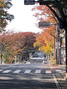 「近隣でも紅葉シーズンがやってきました」_d0178136_17084023.jpg