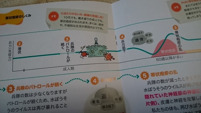 あれから1年 の次の日 帯状疱疹ふたたびver ごぶのおかみさん