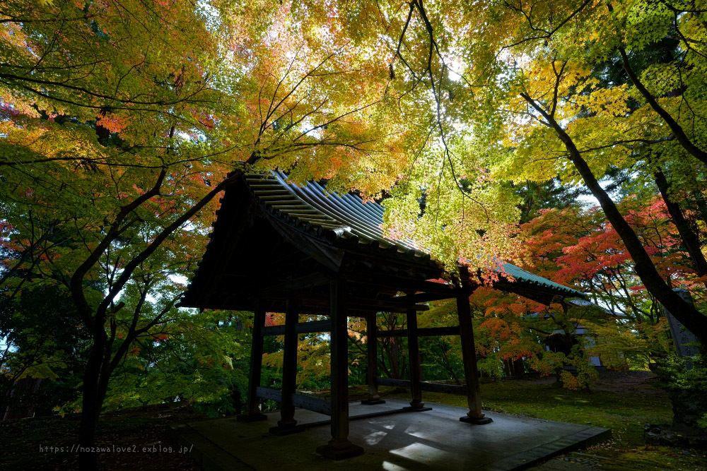長野市 昌禅寺さんの紅葉その2 野沢温泉とその周辺いろいろ2 長野市 昌禅寺さんの紅葉その2 野沢温泉とその周辺いろいろ2