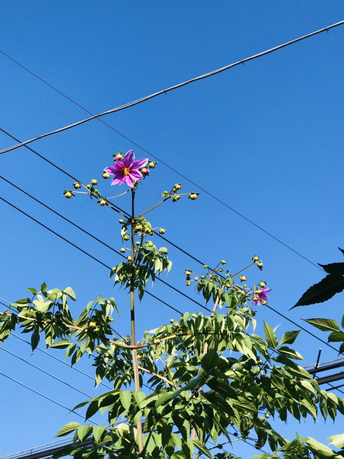 秋が深まり_d0277868_19413600.jpg