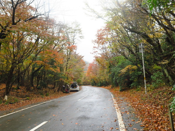 鶴見岳紅葉登山 スマホ紛失事件 11 7 じなしの山歩記と国東半島ミュージアム 鶴見岳紅葉登山 スマホ紛失事件 11 7 じなしの山歩記と国東半島ミュージアム