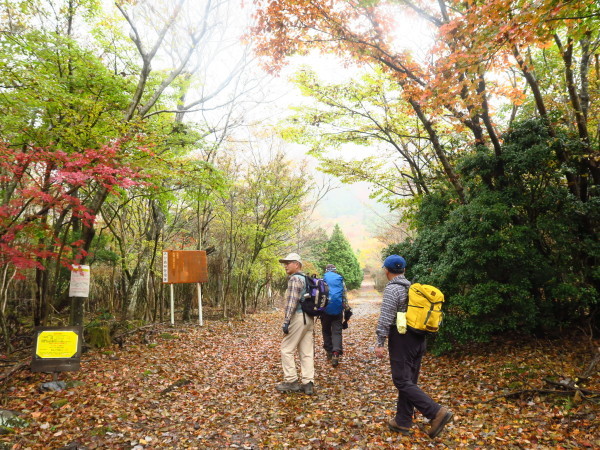 鶴見岳紅葉登山 スマホ紛失事件 11 7 じなしの山歩記と国東半島ミュージアム 鶴見岳紅葉登山 スマホ紛失事件 11 7 じなしの山歩記と国東半島ミュージアム