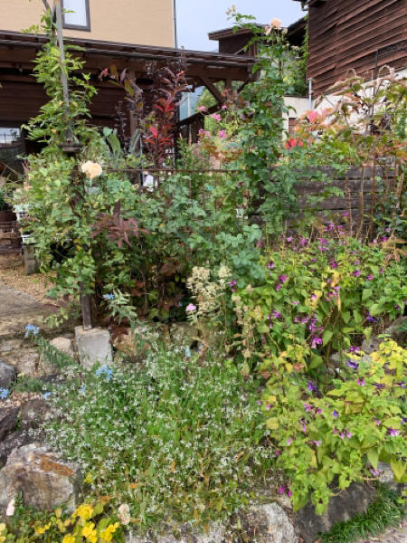 冬花壇の準備 花の庭づくり庭ぐらしガーデニングキララ 冬花壇の準備 花の庭づくり庭ぐらしガーデニングキララ