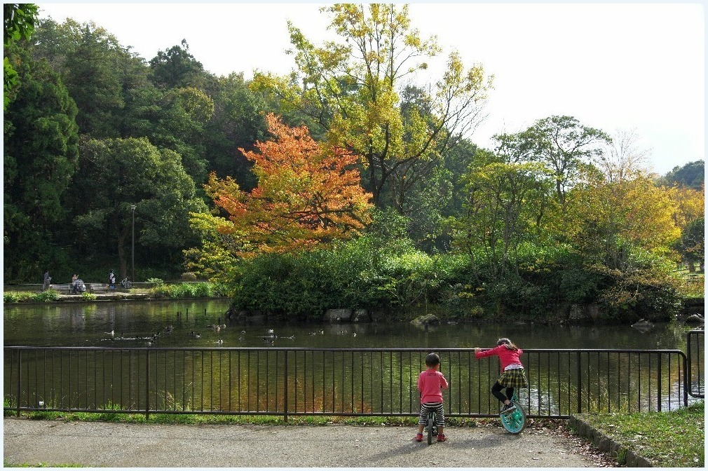 秋の季節に_c0352813_17122135.jpg
