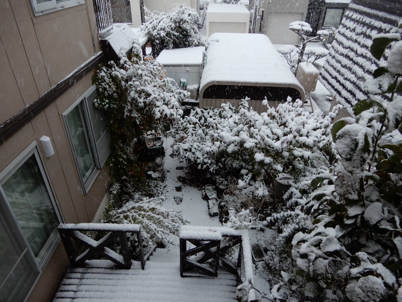 この冬一番の寒い雪景色の朝_c0025115_21112485.jpg