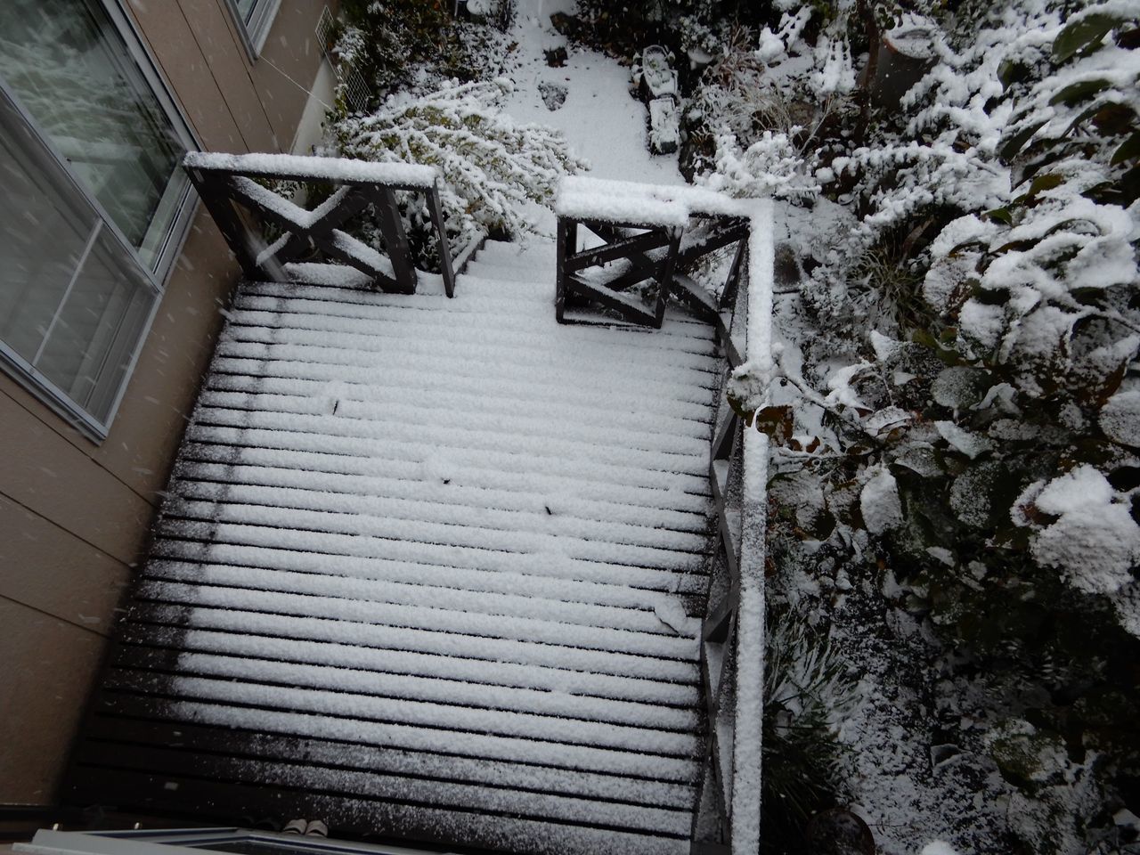 この冬一番の寒い雪景色の朝_c0025115_21112853.jpg