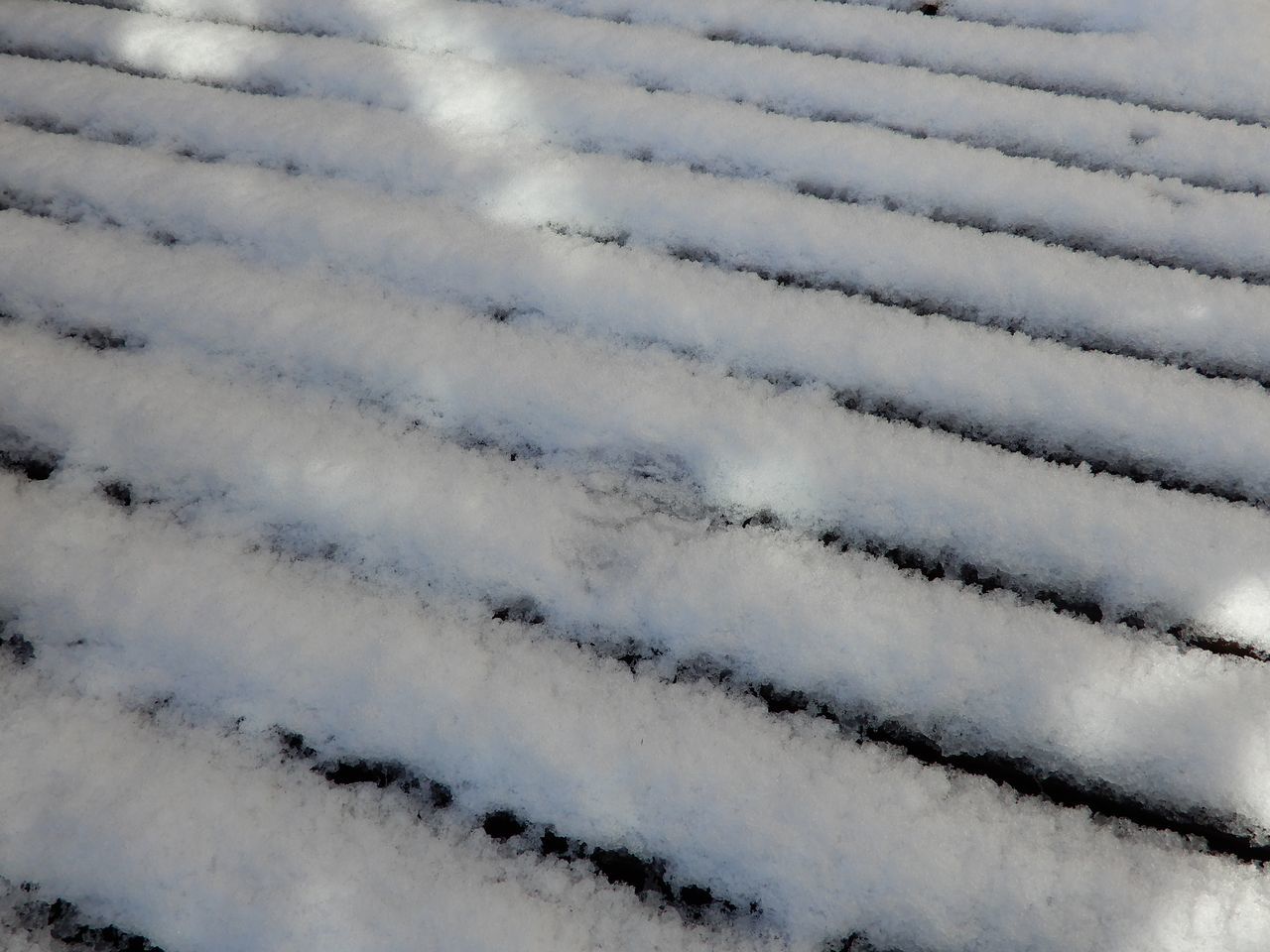 この冬一番の寒い雪景色の朝_c0025115_21115954.jpg