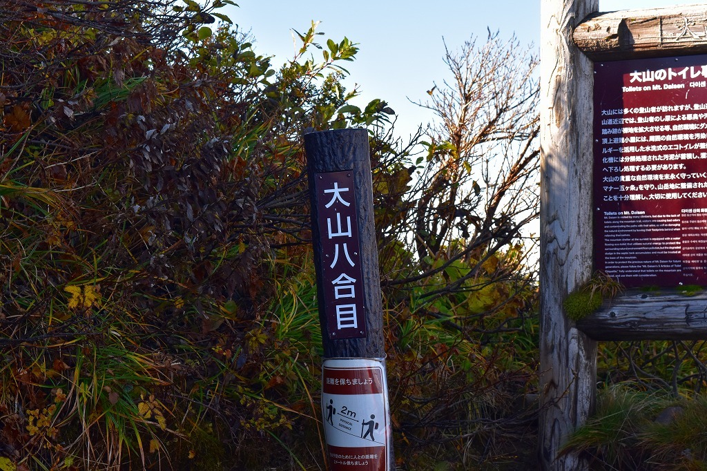 秋の大山_f0174419_20340118.jpg