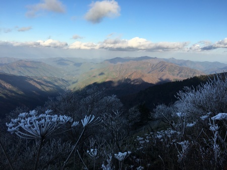 11月10日(火)朝の気温氷点下6℃！_c0089831_06111511.jpeg