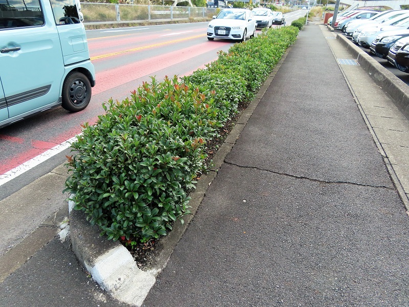 フォレスターの特別仕様車を占う_f0076731_20104224.jpg