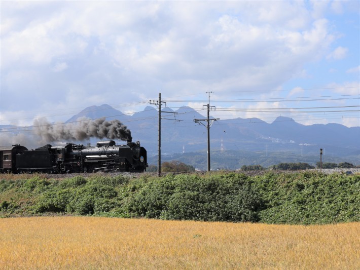 上越線SL (2020/11/3撮影)_b0369971_10202328.jpg