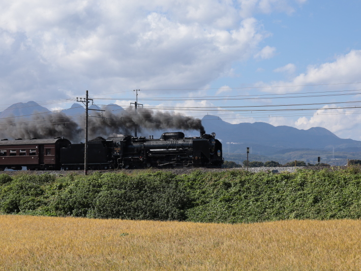 上越線SL (2020/11/3撮影)_b0369971_10203416.jpg