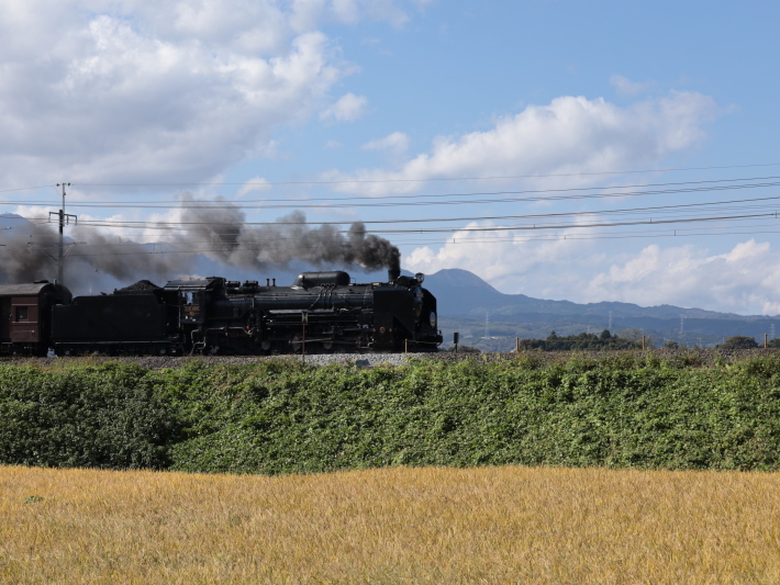 上越線SL (2020/11/3撮影)_b0369971_10204387.jpg
