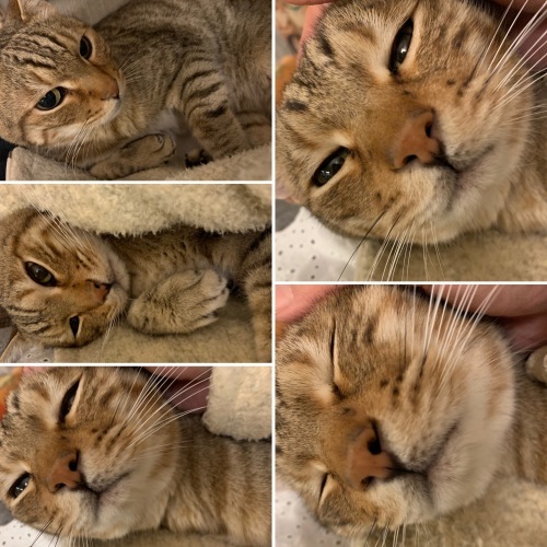 出かけると....._e0358096_20070346.jpeg