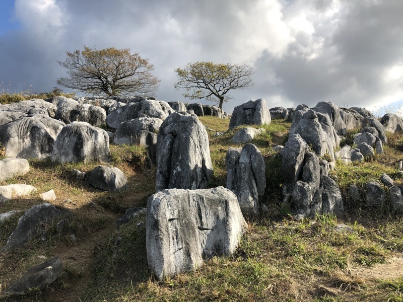 秋の平尾台_d0116009_15565479.jpg