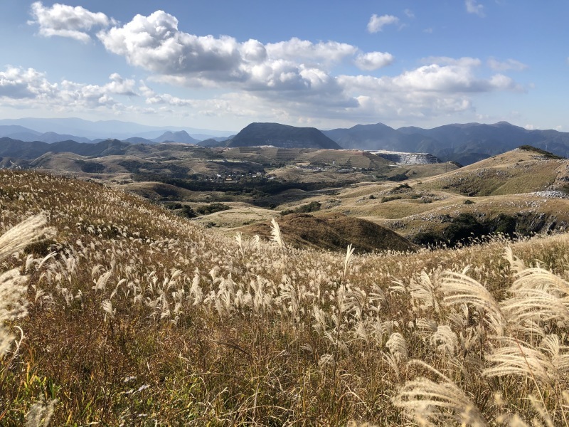 秋の平尾台_d0116009_16010837.jpg