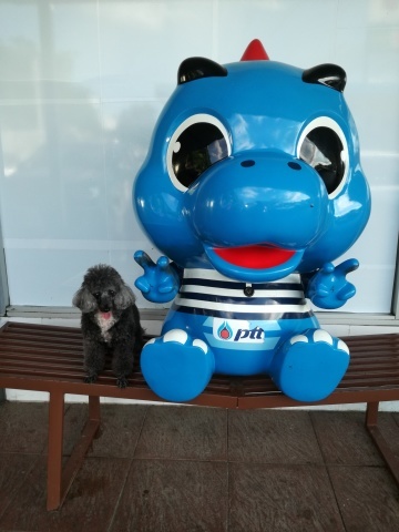 北タイ周遊旅行 ウッタラディットからピサヌローク_d0159325_01453328.jpg