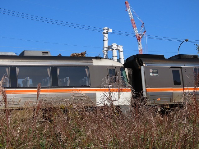 散歩で出会った光景(その1)(撮影:11月3日)_e0321325_18471781.jpg