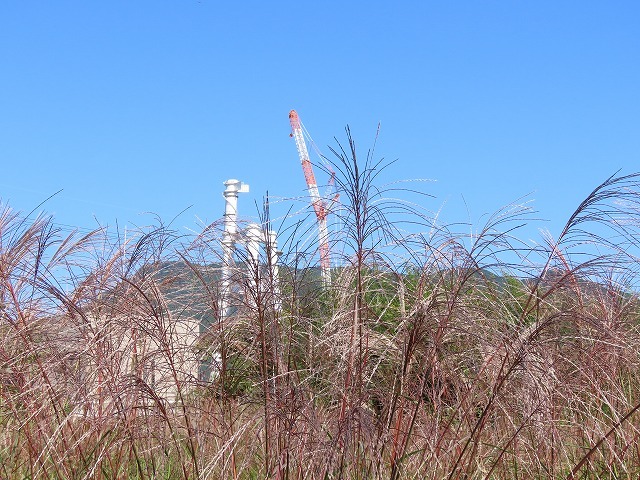 散歩で出会った光景(その1)(撮影:11月3日)_e0321325_18481389.jpg