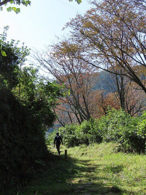 散歩で出会った光景(その2)(撮影:11月3日)_e0321325_19195305.jpg