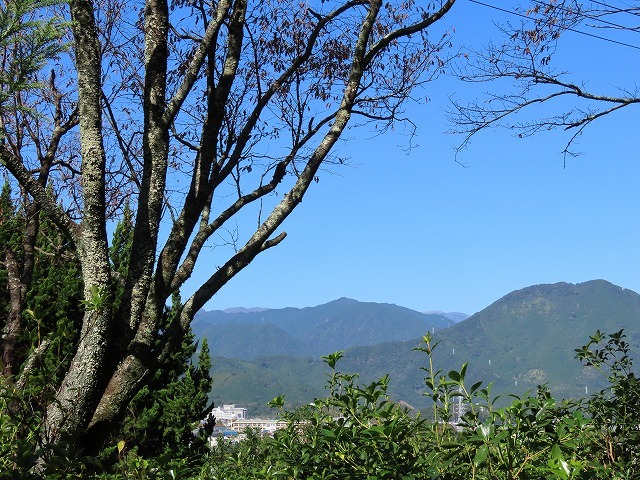 散歩で出会った光景(その2)(撮影:11月3日)_e0321325_19212142.jpg