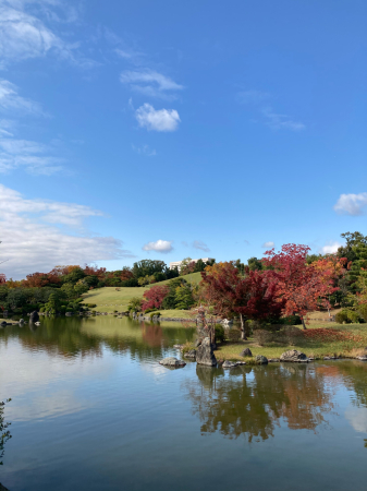 大阪万博記念公園　紅葉_f0086829_16453159.jpg