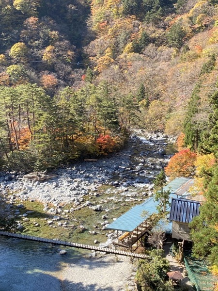 　　　　　　　　&#127809;付知峡紅葉情報&#127810; R2.11.11　撮影_e0020051_13211052.jpg