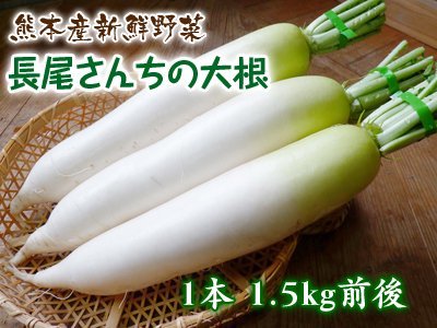 朝採りダイコン、ニンジン販売開始!!『七城米 長尾さんこだわりのお米』令和2年度新米も好評発売中!!_a0254656_17173828.jpg