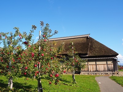 弘前市りんご公園_2020.11.03_d0131668_10470874.jpg