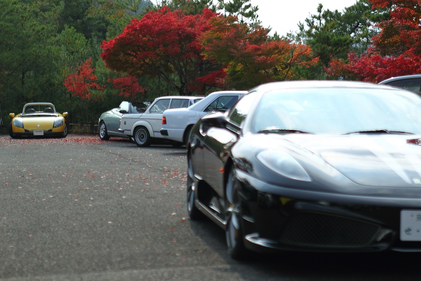  122th.Takao Sunday Meeting その３_f0032275_22061636.jpg