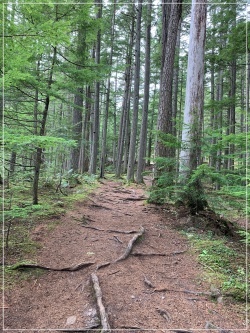 BC Trip_a0047577_07291321.jpg