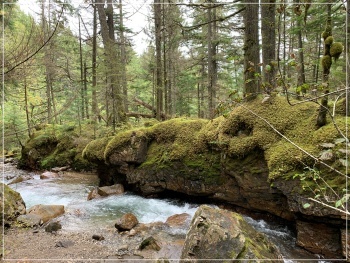BC Trip_a0047577_07292373.jpg