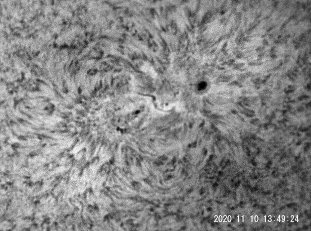 11月10日の太陽_e0174091_14524193.jpg
