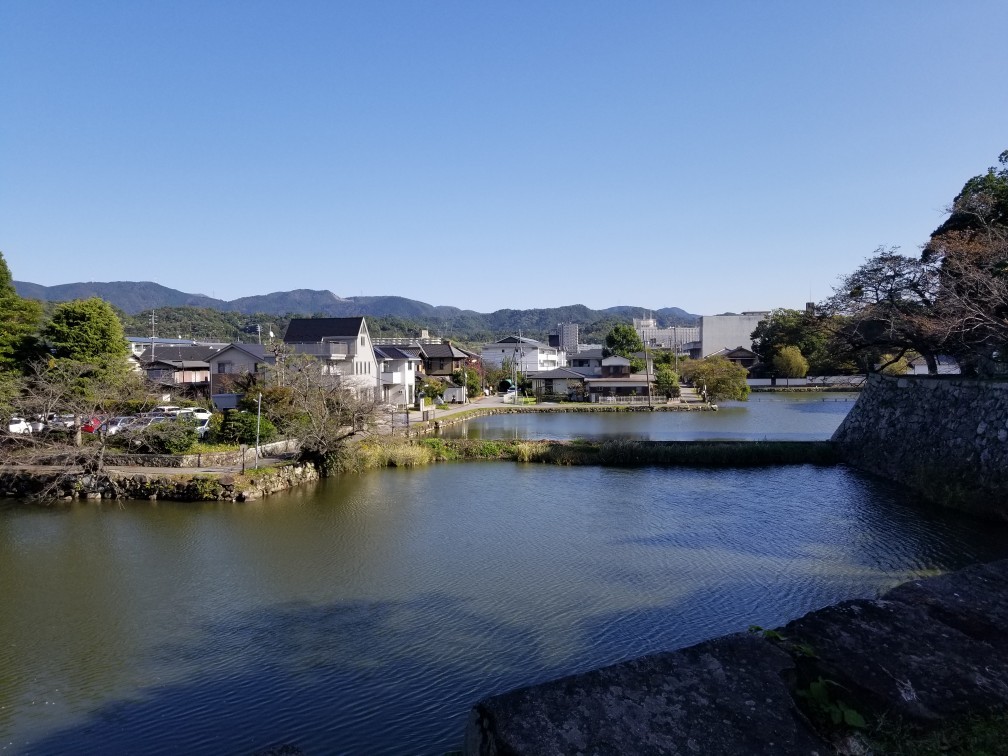 ♪ＧＯＴＯトラベル⑨★初の琵琶湖（彦根）_d0162225_22350647.jpg