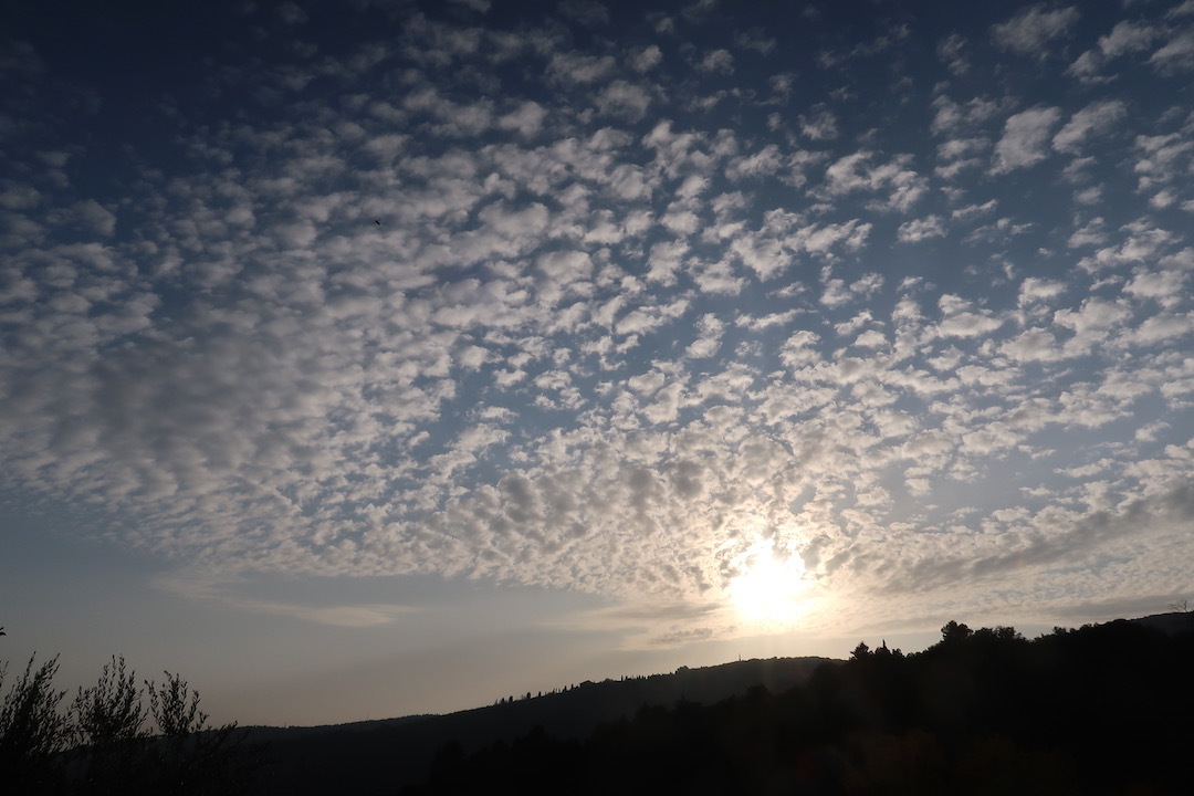猫と夕雲とおいしい聖マルティーノ_f0234936_07124803.jpeg