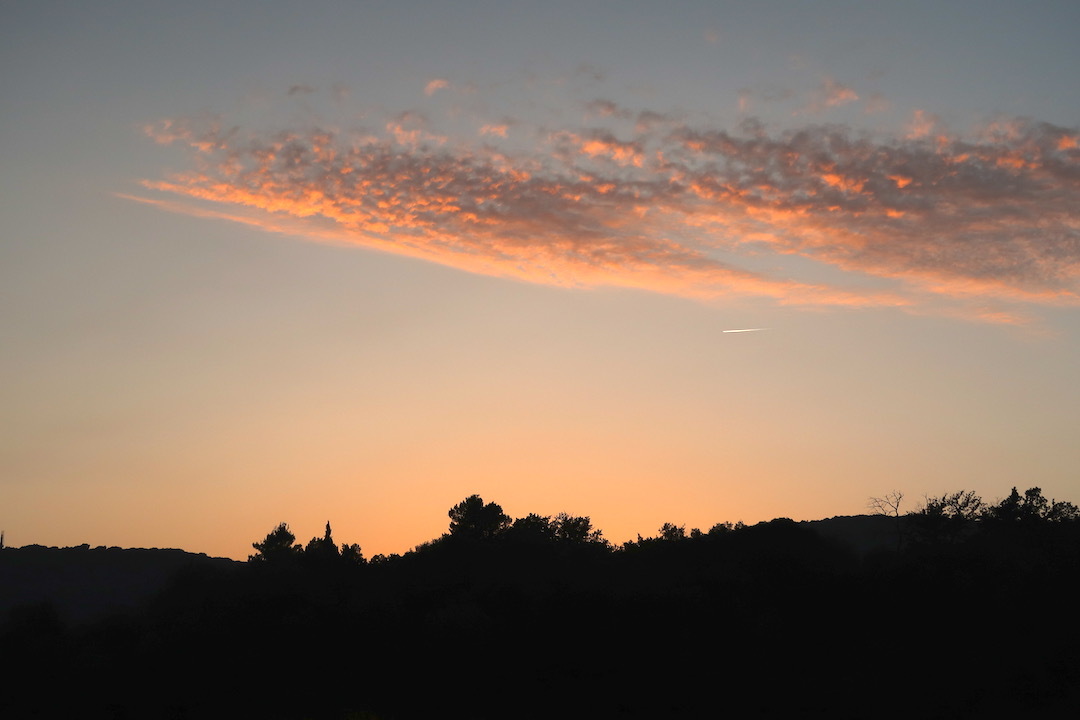 猫と夕雲とおいしい聖マルティーノ_f0234936_07203181.jpeg