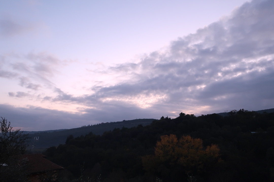 猫と夕雲とおいしい聖マルティーノ_f0234936_07230750.jpeg