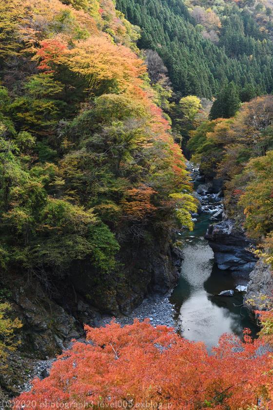 秩父 大血川渓谷 金蔵落しの渓流 紅葉 2 Photograph3