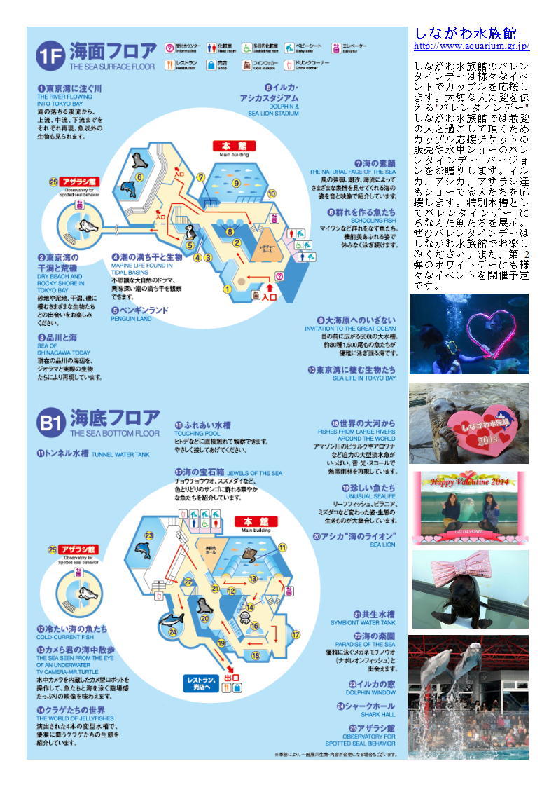 すししながわ 葵 第3回品川から水族館めくり(宿場宿・品川水族館) カルチャーセンター「建築散策と東京散策」②_f0388041_10542217.jpg