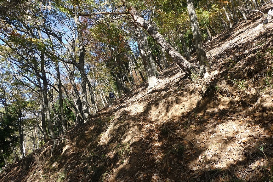 11/9 お坊山東尾根 その1・ずり落ちそうな斜面を上る_d0288144_00283349.jpg