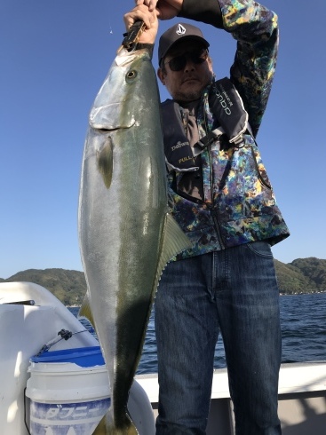 ライトジギング　釣果_b0185158_07470174.jpeg