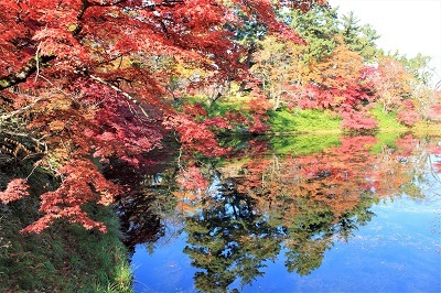 弘前公園を秋さんぽ_2020.11.12撮影_d0131668_13572804.jpg