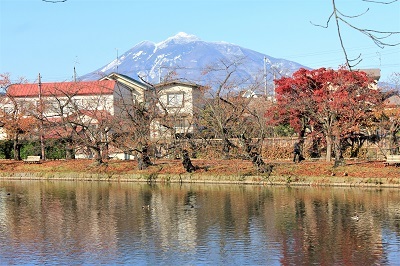 弘前公園を秋さんぽ_2020.11.12撮影_d0131668_13591578.jpg