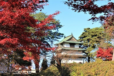 弘前公園を秋さんぽ_2020.11.12撮影_d0131668_14072284.jpg