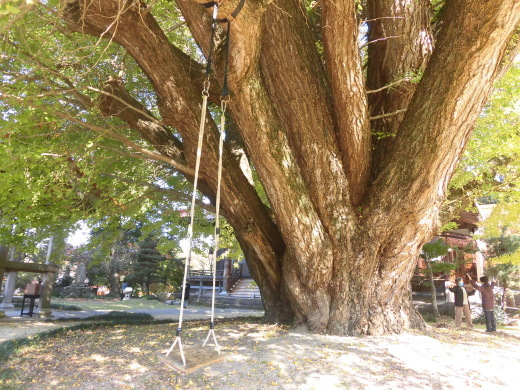 三瓶山_b0231886_18504707.jpg