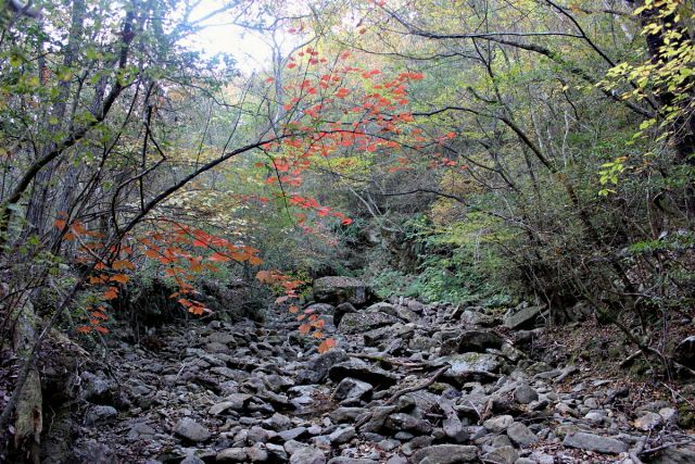 熊山 保々呂谷を登る!の巻_f0325295_17133326.jpg