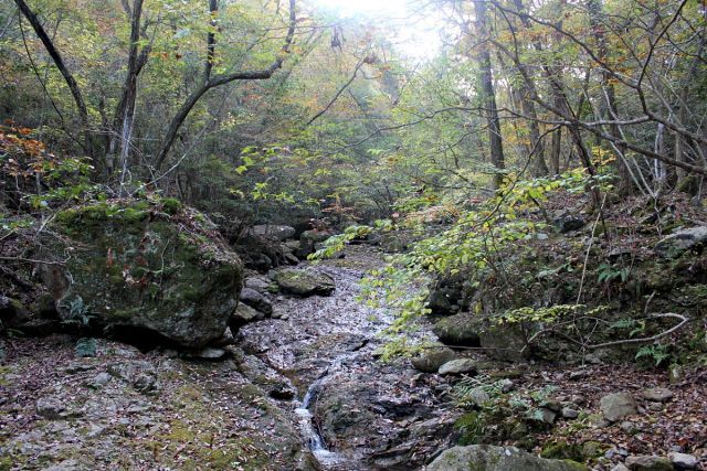 熊山 保々呂谷を登る!の巻_f0325295_17341807.jpg